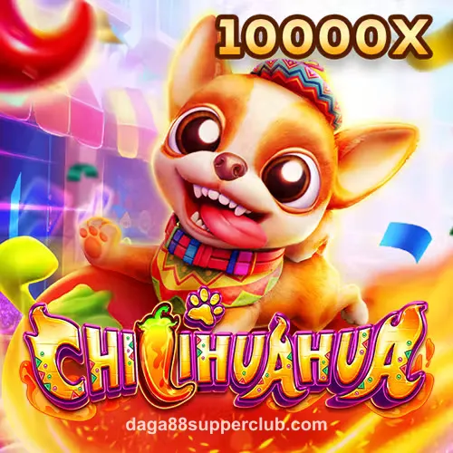 Fachai Chihuahua tại daga88